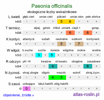 ekologiczne liczby wskaźnikowe Paeonia officinalis (piwonia lekarska)