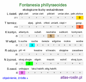 ekologiczne liczby wskaźnikowe Fontanesia phillyraeoides