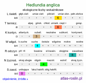 ekologiczne liczby wskaźnikowe Hedlundia anglica