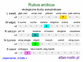 ekologiczne liczby wskaźnikowe Rubus arcticus (malina arktyczna)