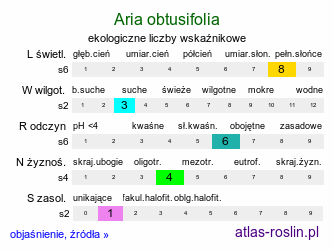 ekologiczne liczby wskaźnikowe Aria obtusifolia (jarząb norweski)