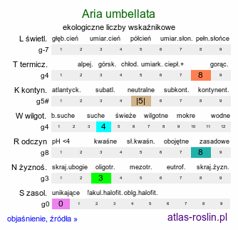 ekologiczne liczby wskaźnikowe Aria umbellata (jarząb grecki)