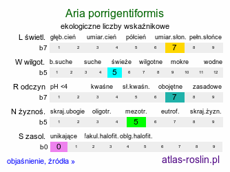 ekologiczne liczby wskaźnikowe Aria porrigentiformis