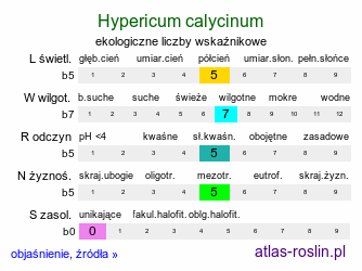 ekologiczne liczby wskaźnikowe Hypericum calycinum (dziurawiec kielichowaty)