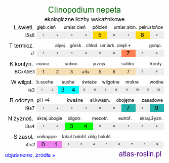 ekologiczne liczby wskaźnikowe Clinopodium nepeta (klinopodium kocimiętkowate)