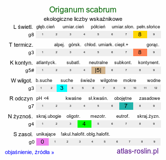 ekologiczne liczby wskaźnikowe Origanum scabrum (lebiodka szorstka)