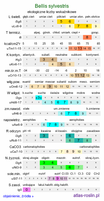 ekologiczne liczby wskaźnikowe Bellis sylvestris (stokrotka leśna)