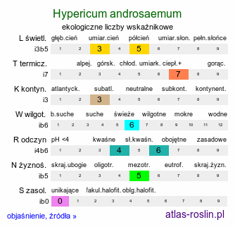 ekologiczne liczby wskaźnikowe Hypericum androsaemum (dziurawiec barwierski)