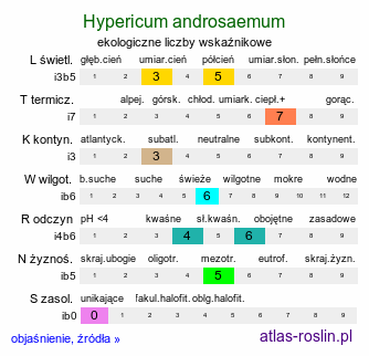 ekologiczne liczby wskaźnikowe Hypericum androsaemum (dziurawiec barwierski)