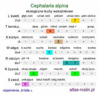 ekologiczne liczby wskaźnikowe Cephalaria alpina (głowaczek alpejski)