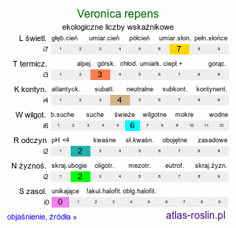 ekologiczne liczby wskaźnikowe Veronica repens (przetacznik rozłogowy)