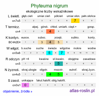 ekologiczne liczby wskaźnikowe Phyteuma nigrum (zerwa czarniawokłosa)