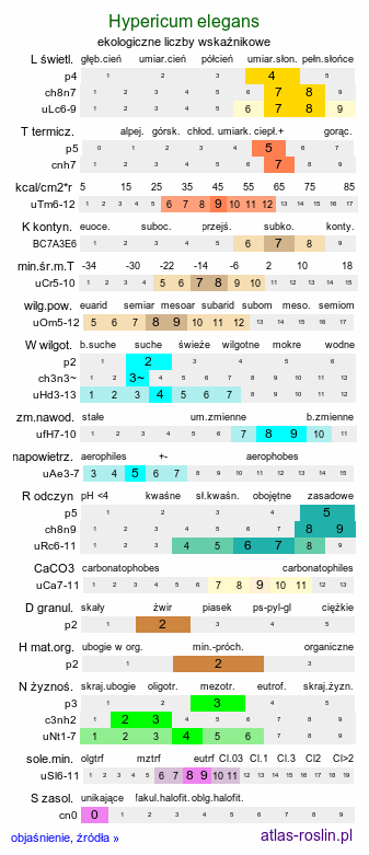ekologiczne liczby wskaźnikowe Hypericum elegans (dziurawiec wytworny)