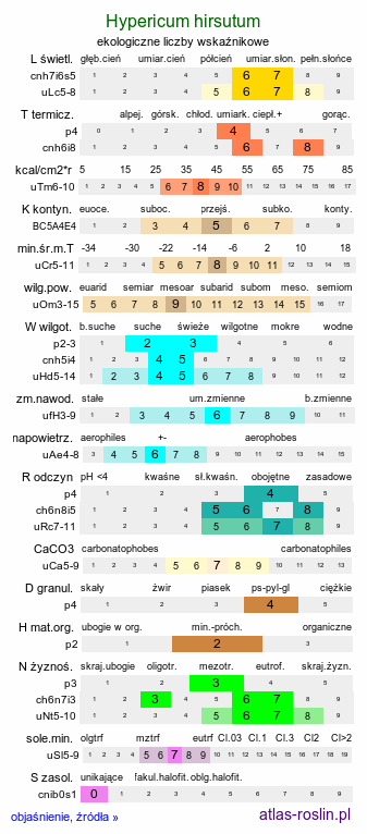 ekologiczne liczby wskaźnikowe Hypericum hirsutum (dziurawiec kosmaty)