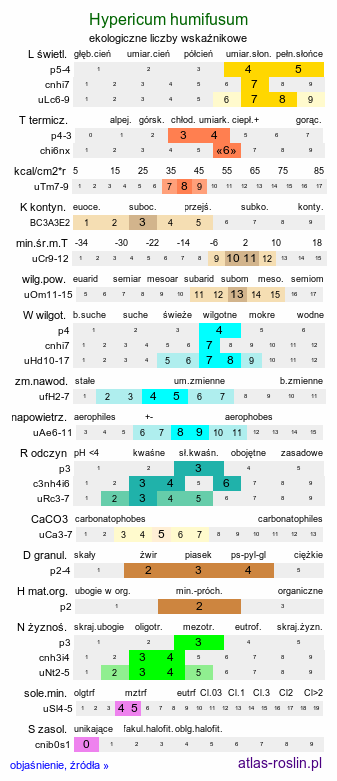 ekologiczne liczby wskaźnikowe Hypericum humifusum (dziurawiec rozesłany)