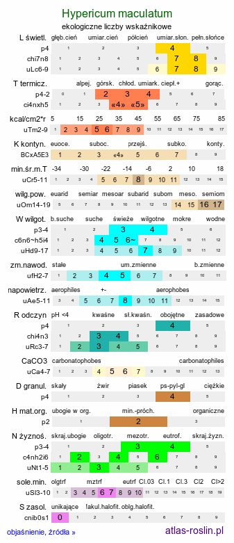 ekologiczne liczby wskaźnikowe Hypericum maculatum (dziurawiec czteroboczny)