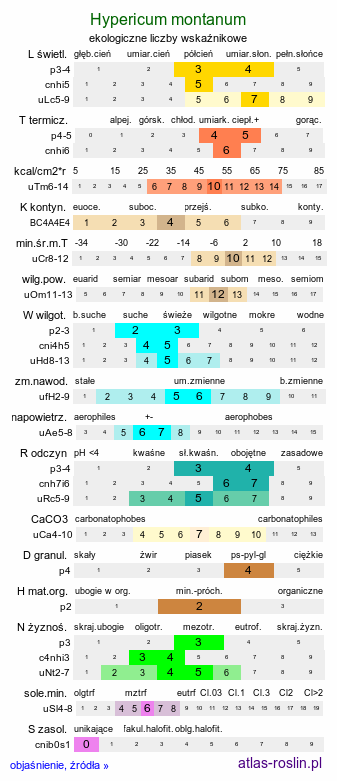 ekologiczne liczby wskaźnikowe Hypericum montanum (dziurawiec skąpolistny)