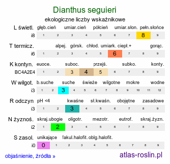 ekologiczne liczby wskaźnikowe Dianthus seguieri (goździk Seguiera)