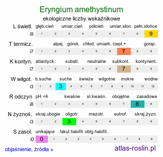 ekologiczne liczby wskaźnikowe Eryngium amethystinum (mikołajek ametystowy)