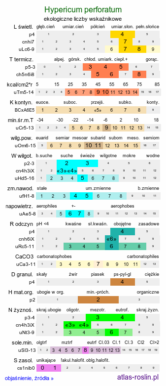 ekologiczne liczby wskaźnikowe Hypericum perforatum (dziurawiec zwyczajny)