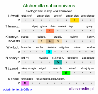 ekologiczne liczby wskaźnikowe Alchemilla subconnivens (przywrotnik przegiętozębny)