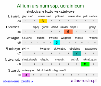 ekologiczne liczby wskaźnikowe Allium ursinum ssp. ucrainicum (czosnek niedźwiedzi ukraiński)