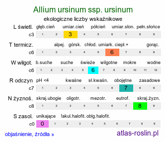 ekologiczne liczby wskaźnikowe Allium ursinum ssp. ursinum (czosnek niedźwiedzi typowy)