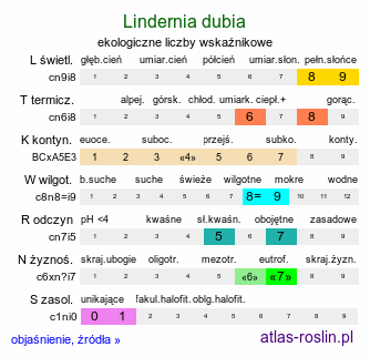 ekologiczne liczby wskaźnikowe Lindernia dubia (lindernia ząbkowana)