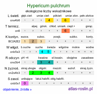 ekologiczne liczby wskaźnikowe Hypericum pulchrum (dziurawiec nadobny)