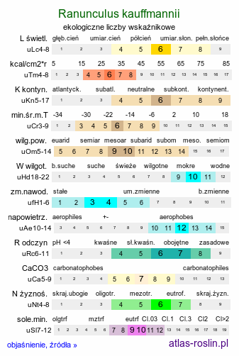 ekologiczne liczby wskaźnikowe Ranunculus kauffmannii (jaskier Kauffmanna)