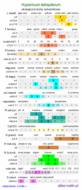 ekologiczne liczby wskaźnikowe Hypericum tetrapterum (dziurawiec skrzydełkowaty)