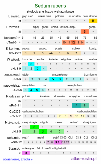 ekologiczne liczby wskaźnikowe Sedum rubens (rozchodnik czerwieniejący)