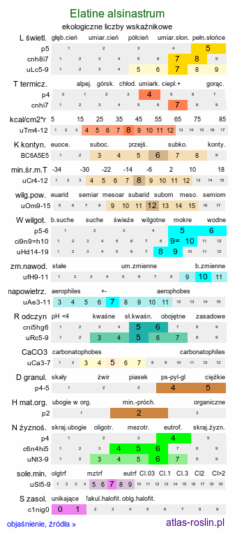 ekologiczne liczby wskaźnikowe Elatine alsinastrum (nadwodnik okółkowy)