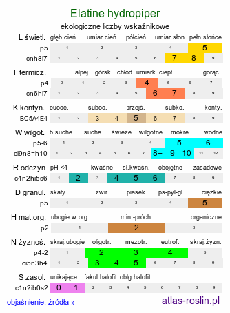 ekologiczne liczby wskaźnikowe Elatine hydropiper (nadwodnik naprzeciwlistny)
