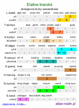 ekologiczne liczby wskaźnikowe Elatine triandra (nadwodnik trójpręcikowy)