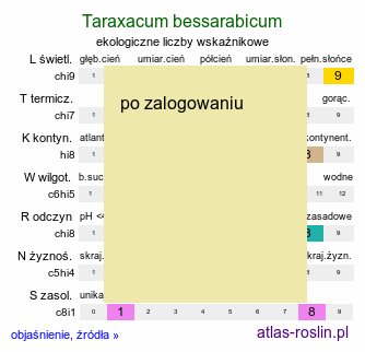 ekologiczne liczby wskaźnikowe Taraxacum bessarabicum (mniszek besarabski)