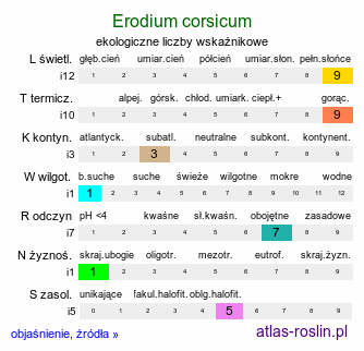 ekologiczne liczby wskaźnikowe Erodium corsicum (iglica korsykańska)