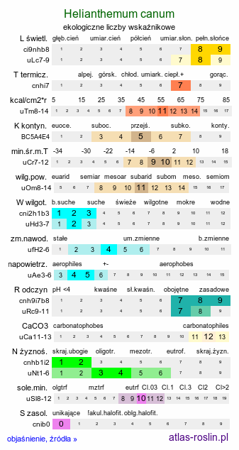 ekologiczne liczby wskaźnikowe Helianthemum canum