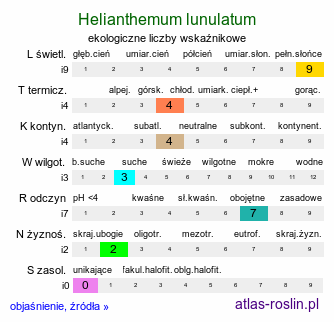 ekologiczne liczby wskaźnikowe Helianthemum lunulatum