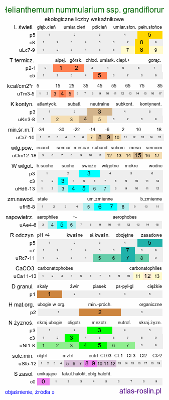 ekologiczne liczby wskaźnikowe Helianthemum nummularium ssp. grandiflorum (posłonek rozesłany wielkokwiatowy)