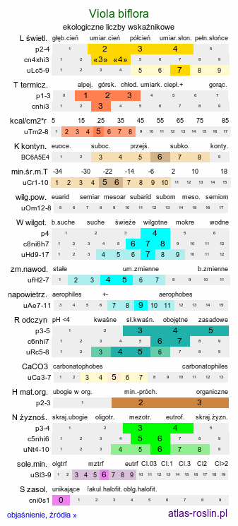 ekologiczne liczby wskaźnikowe Viola biflora (fiołek dwukwiatowy)