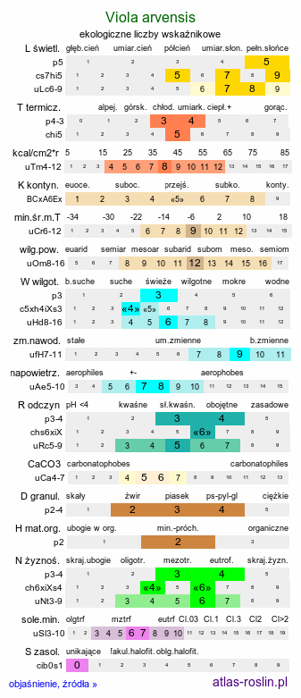 ekologiczne liczby wskaźnikowe Viola arvensis (fiołek polny)