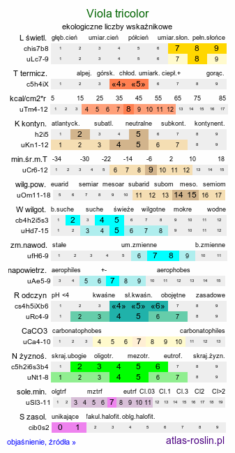 ekologiczne liczby wskaźnikowe Viola tricolor (fiołek trójbarwny)