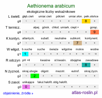 ekologiczne liczby wskaźnikowe Aethionema arabicum