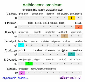 ekologiczne liczby wskaźnikowe Aethionema arabicum