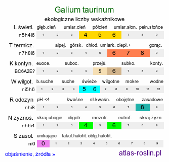 ekologiczne liczby wskaźnikowe Galium taurinum (przytulia taurydzka)