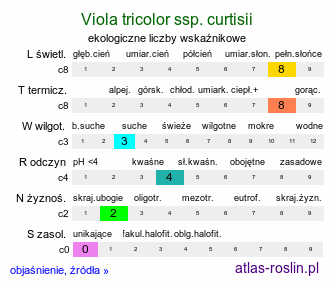 ekologiczne liczby wskaźnikowe Viola tricolor ssp. curtisii (fiołek trójbarwny nadmorski)