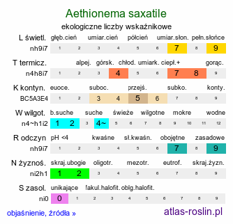 ekologiczne liczby wskaźnikowe Aethionema saxatile (skrzydlinka skalna)