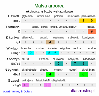 ekologiczne liczby wskaźnikowe Malva arborea