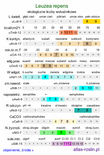 ekologiczne liczby wskaźnikowe Rhaponticum repens (akroptilon wschodni)